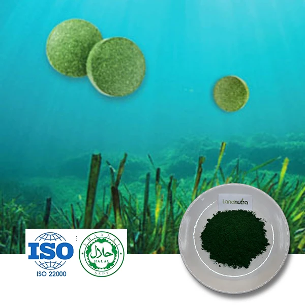 Bulk Spirulina Powder Bulk Spirulina Powder